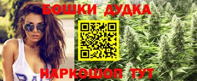 apvp Краснознаменск