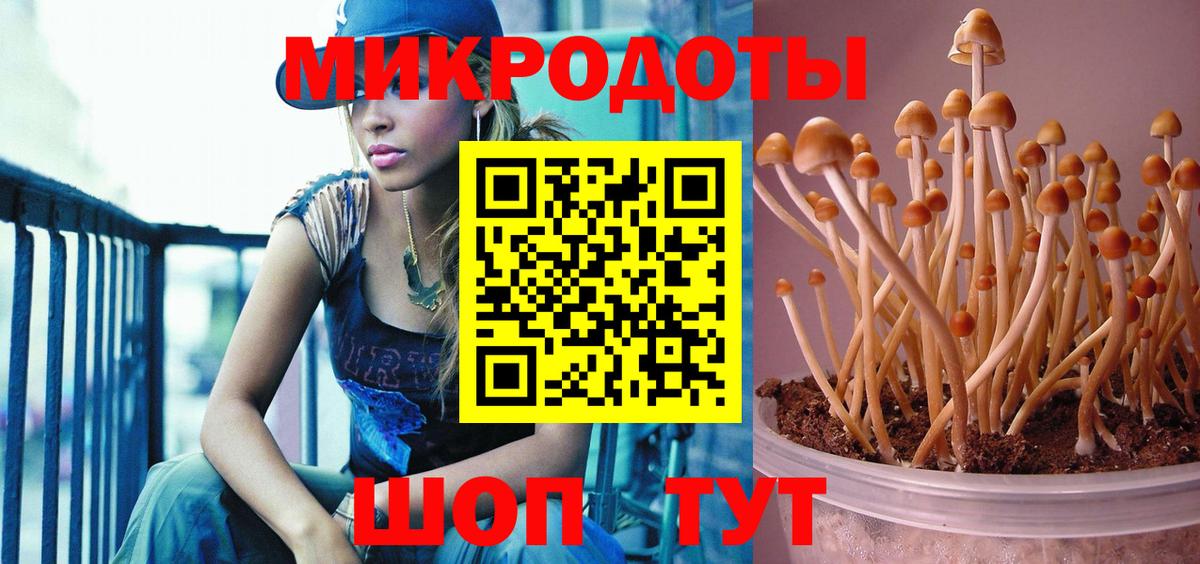 Галлюциногенные грибы мухоморы  купить закладку  Ковров  Вход с VPN 