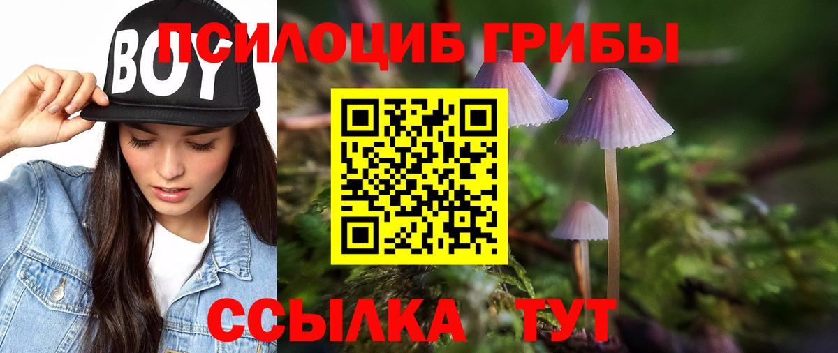 Галлюциногенные грибы Psilocybine cubensis Ковров